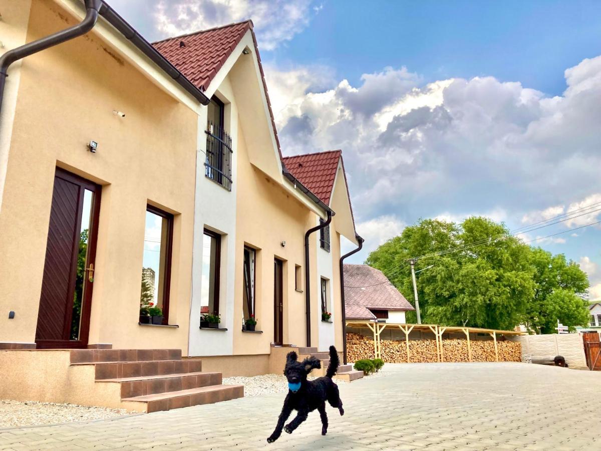 Vila Lesana Nová Lesná Exterior foto